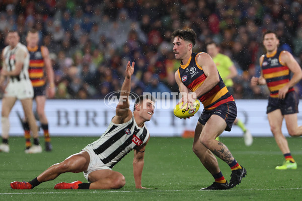 AFL 2025 Round 23 - Adelaide v Collingwood - A-61442395
