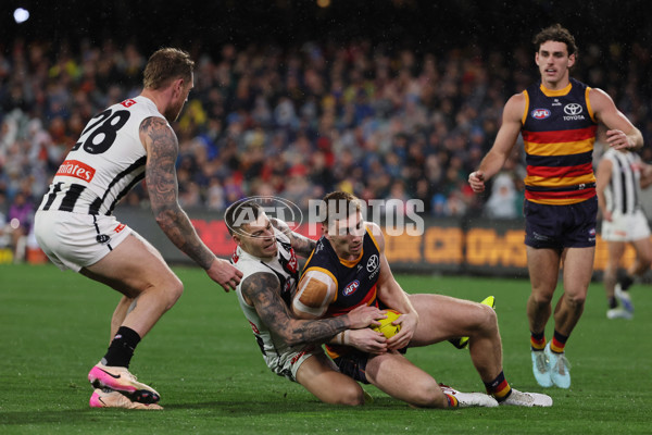 AFL 2025 Round 23 - Adelaide v Collingwood - A-61442396