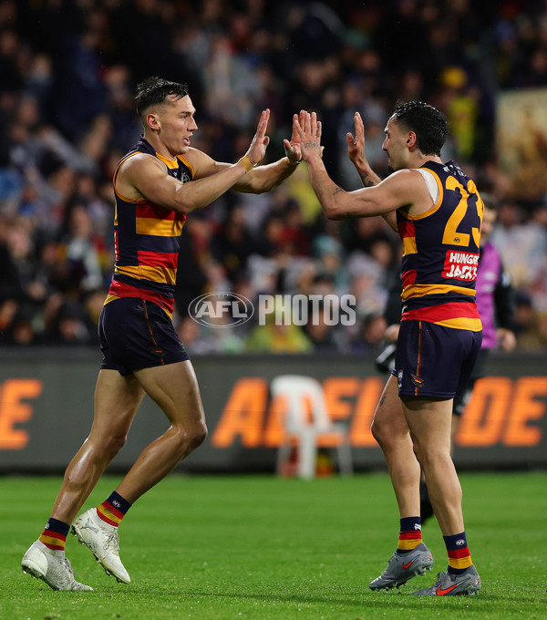 AFL 2025 Round 23 - Adelaide v Collingwood - A-61442404