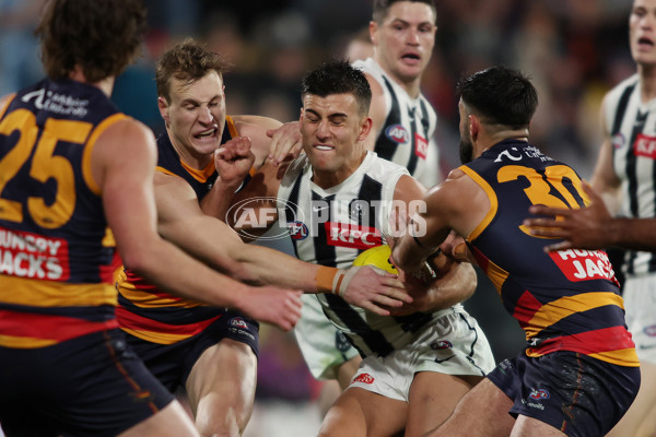 AFL 2025 Round 23 - Adelaide v Collingwood - A-61442430