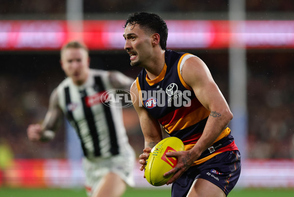 AFL 2025 Round 23 - Adelaide v Collingwood - A-61442432