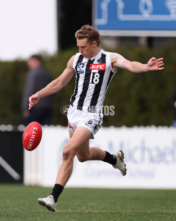 VFL 2025 Round 21 - Port Melbourne v Collingwood - A-61442852