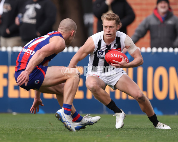 VFL 2025 Round 21 - Port Melbourne v Collingwood - A-61442854