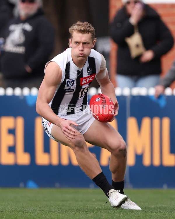 VFL 2025 Round 21 - Port Melbourne v Collingwood - A-61442855