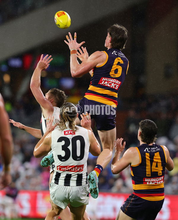 AFL 2025 Round 23 - Adelaide v Collingwood - A-61442882