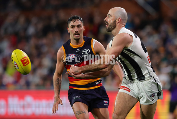 AFL 2025 Round 23 - Adelaide v Collingwood - A-61442890
