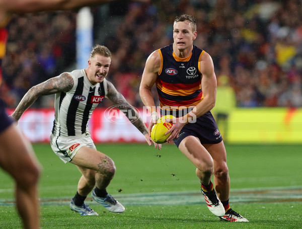AFL 2025 Round 23 - Adelaide v Collingwood - A-61442914