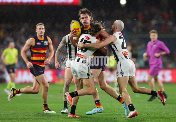 AFL 2025 Round 23 - Adelaide v Collingwood - A-61442932