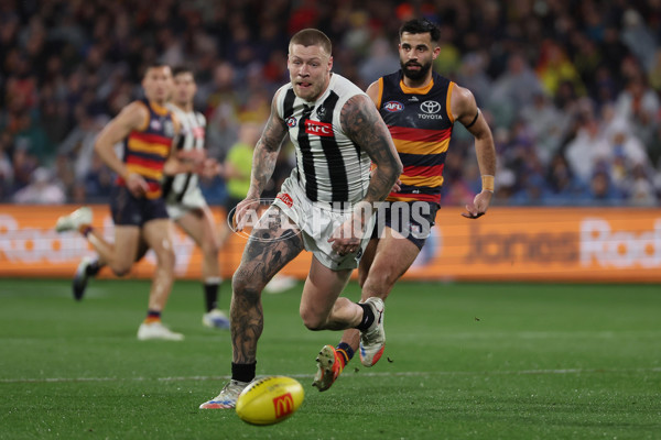 AFL 2025 Round 23 - Adelaide v Collingwood - A-61442938
