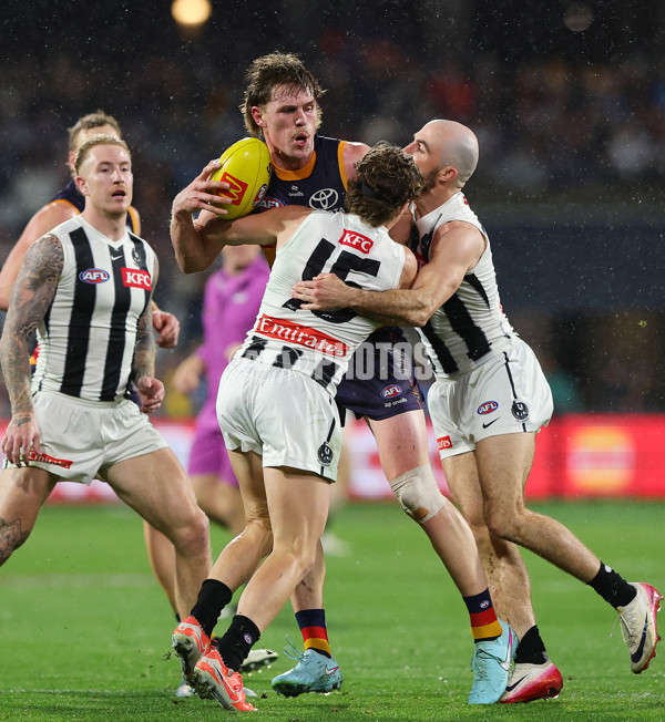 AFL 2025 Round 23 - Adelaide v Collingwood - A-61444872