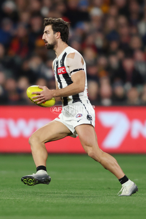 AFL 2025 Round 23 - Adelaide v Collingwood - A-61444879