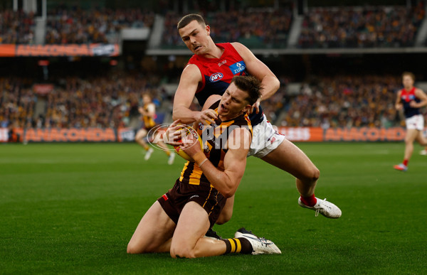 AFL 2025 Round 23 - Hawthorn v Melbourne - A-61444936