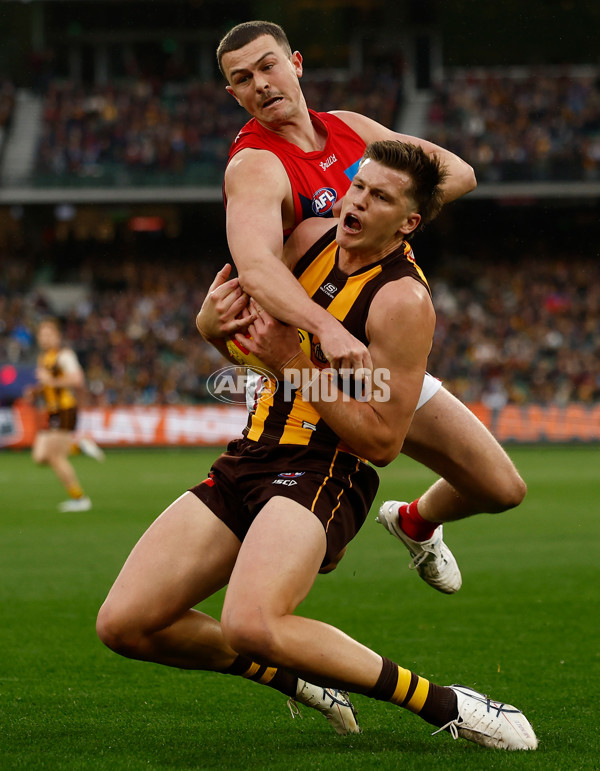 AFL 2025 Round 23 - Hawthorn v Melbourne - A-61444937