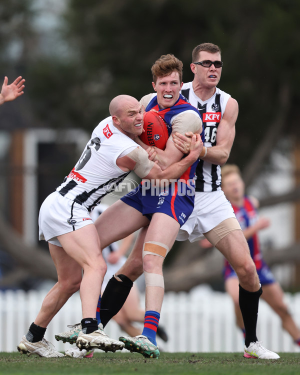 VFL 2025 Round 21 - Port Melbourne v Collingwood - A-61444941