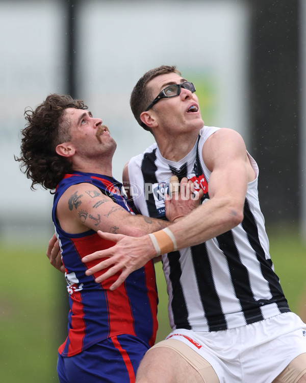 VFL 2025 Round 21 - Port Melbourne v Collingwood - A-61444944