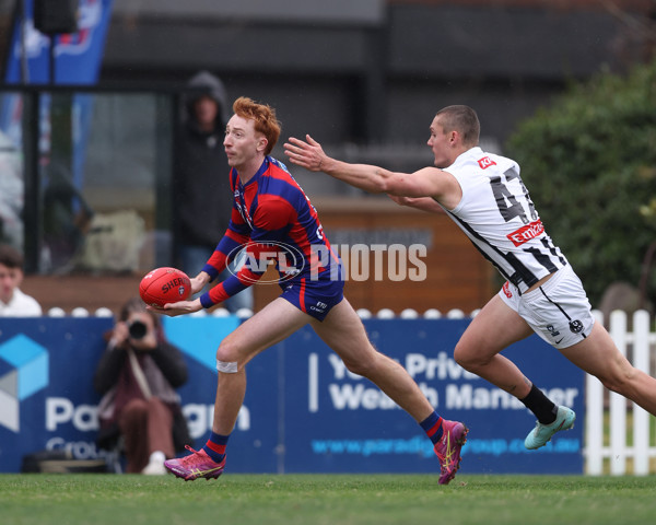 VFL 2025 Round 21 - Port Melbourne v Collingwood - A-61444946
