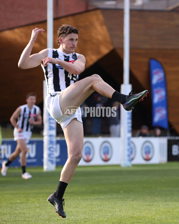VFL 2025 Round 21 - Port Melbourne v Collingwood - A-61444951