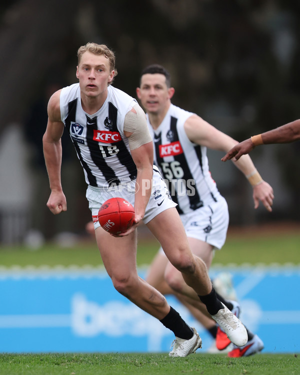VFL 2025 Round 21 - Port Melbourne v Collingwood - A-61444954