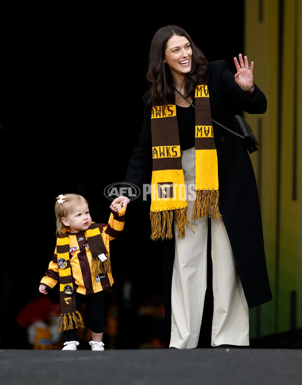 AFL 2025 Round 23 - Hawthorn v Melbourne - A-61445581