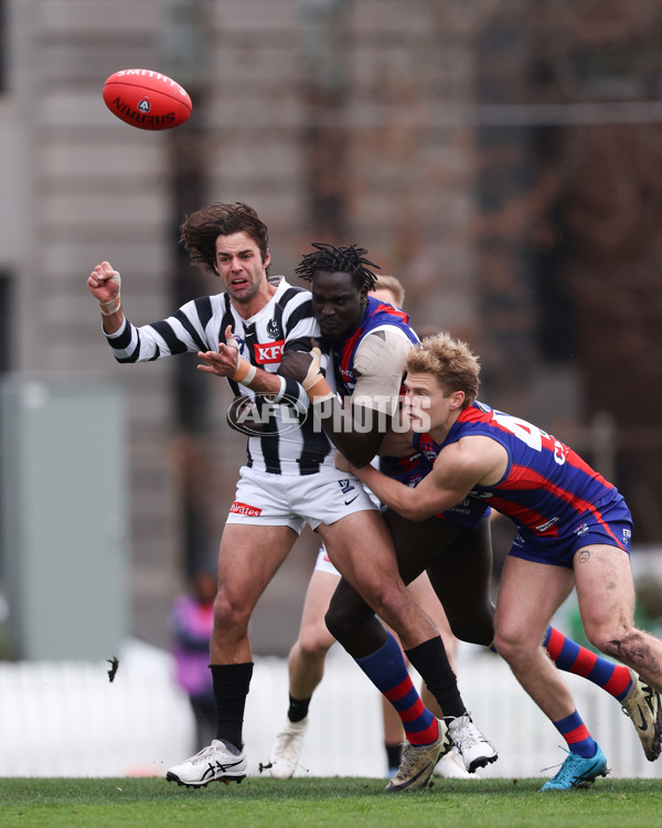 VFL 2025 Round 21 - Port Melbourne v Collingwood - A-61445627