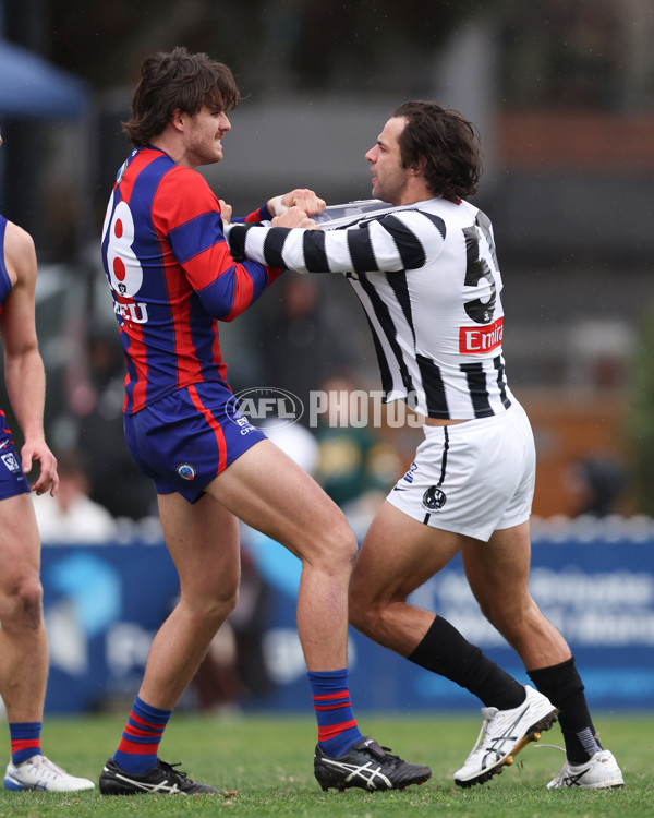 VFL 2025 Round 21 - Port Melbourne v Collingwood - A-61445628