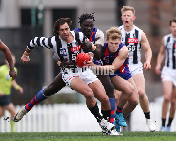 VFL 2025 Round 21 - Port Melbourne v Collingwood - A-61445629