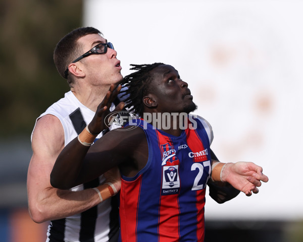 VFL 2025 Round 21 - Port Melbourne v Collingwood - A-61445631