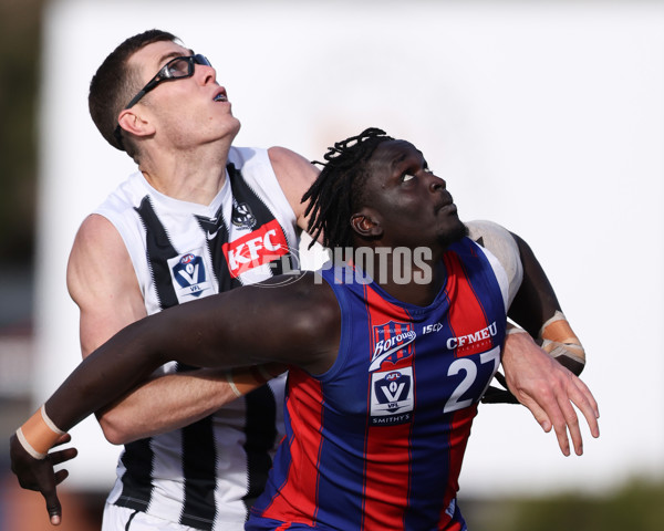 VFL 2025 Round 21 - Port Melbourne v Collingwood - A-61445637