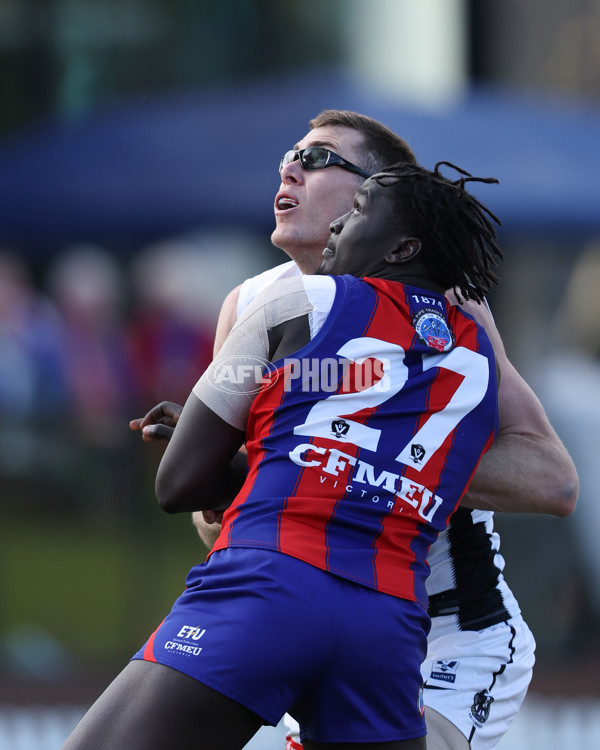 VFL 2025 Round 21 - Port Melbourne v Collingwood - A-61445638