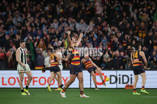 AFL 2025 Round 23 - Adelaide v Collingwood - A-61445663