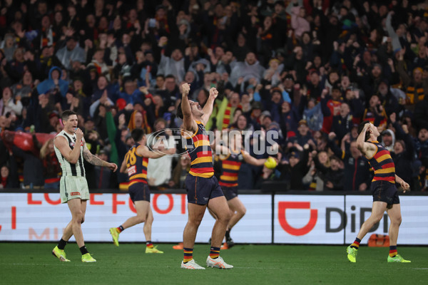 AFL 2025 Round 23 - Adelaide v Collingwood - A-61447497