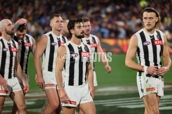 AFL 2025 Round 23 - Adelaide v Collingwood - A-61447506