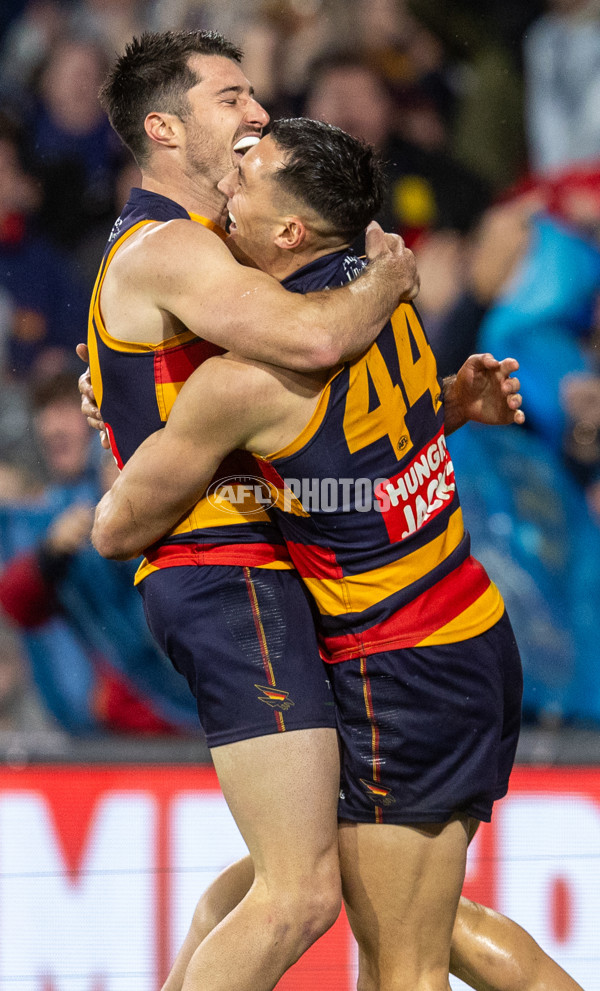 AFL 2025 Round 23 - Adelaide v Collingwood - A-61447516