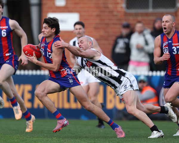 VFL 2025 Round 21 - Port Melbourne v Collingwood - A-61447557