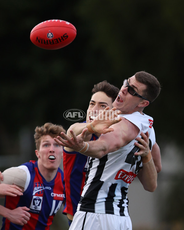 VFL 2025 Round 21 - Port Melbourne v Collingwood - A-61447558