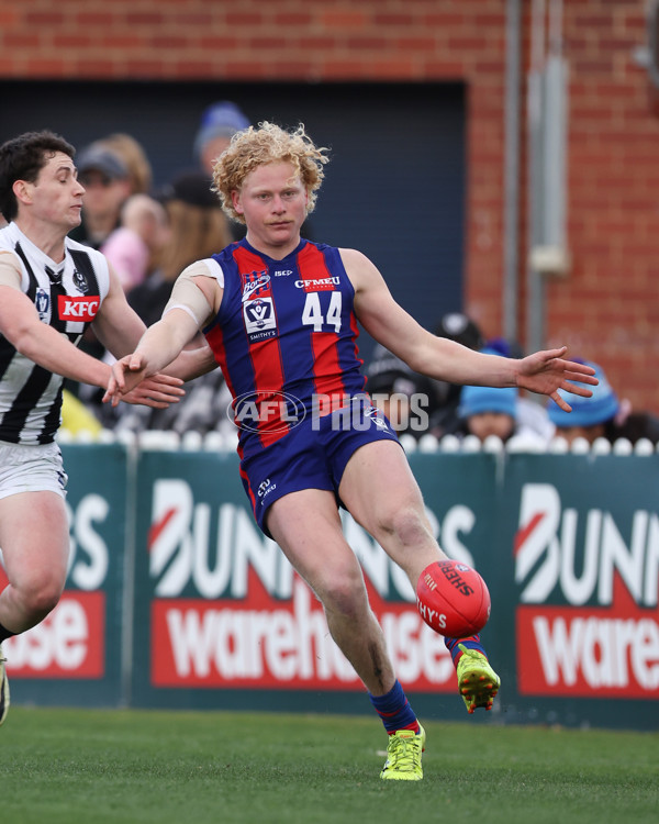 VFL 2025 Round 21 - Port Melbourne v Collingwood - A-61447562