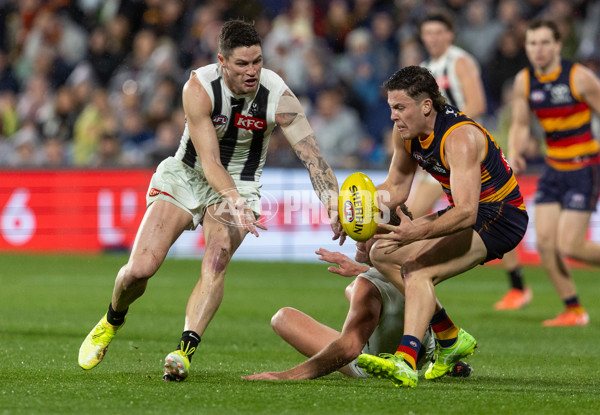 AFL 2025 Round 23 - Adelaide v Collingwood - A-61447811