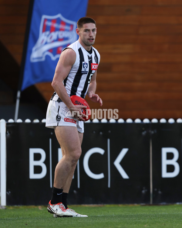 VFL 2025 Round 21 - Port Melbourne v Collingwood - A-61447843