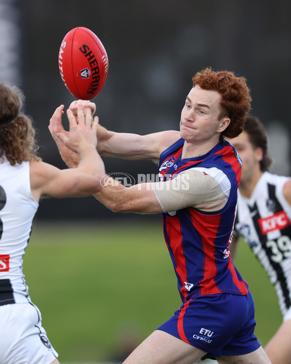 VFL 2025 Round 21 - Port Melbourne v Collingwood - A-61447845