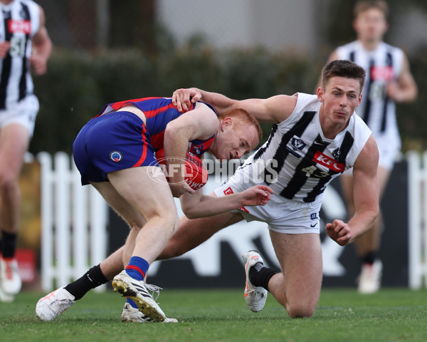 VFL 2025 Round 21 - Port Melbourne v Collingwood - A-61447846
