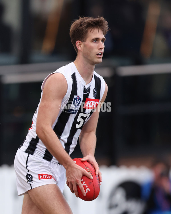 VFL 2025 Round 21 - Port Melbourne v Collingwood - A-61447848