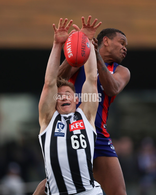 VFL 2025 Round 21 - Port Melbourne v Collingwood - A-61447851