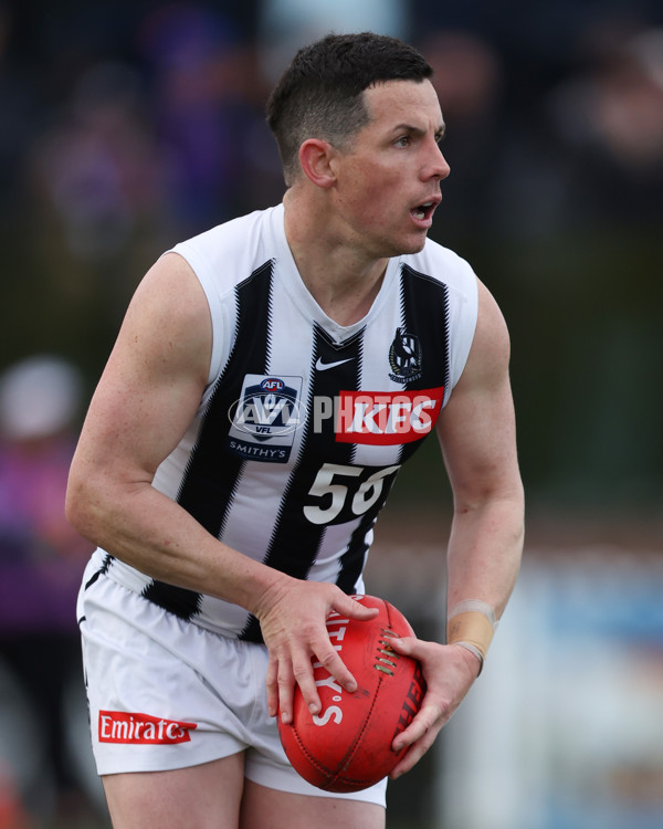 VFL 2025 Round 21 - Port Melbourne v Collingwood - A-61447855