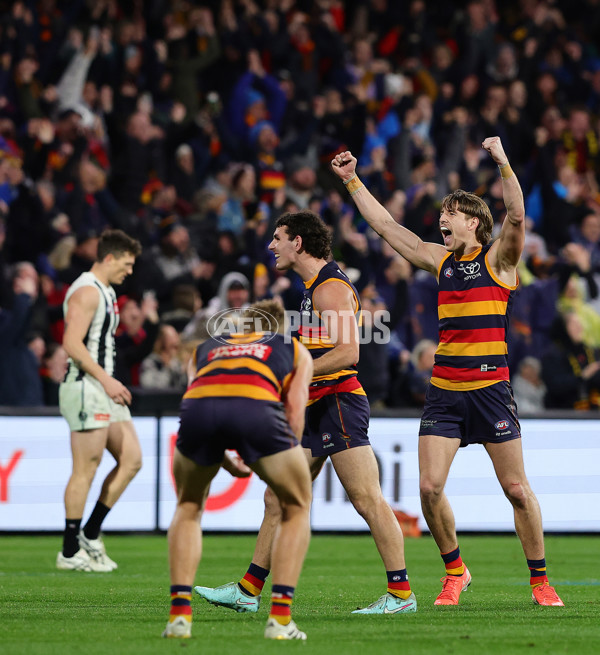 AFL 2025 Round 23 - Adelaide v Collingwood - A-61447879