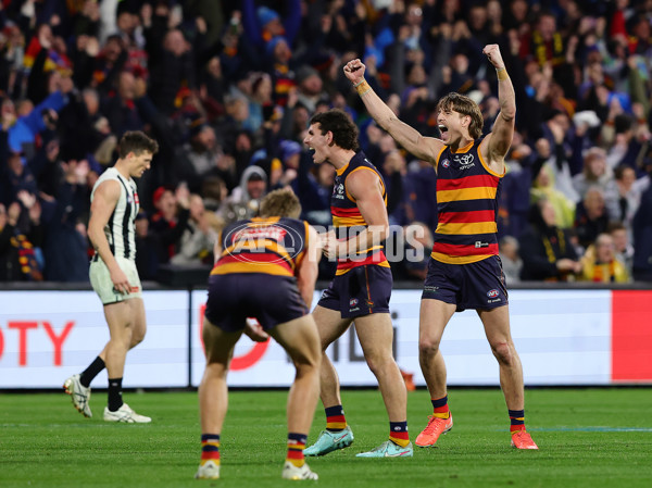 AFL 2025 Round 23 - Adelaide v Collingwood - A-61447882