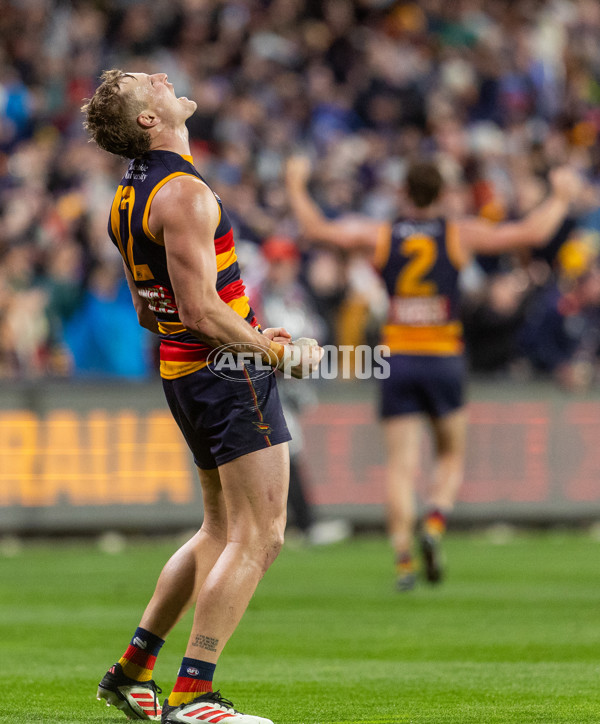 AFL 2025 Round 23 - Adelaide v Collingwood - A-61447891