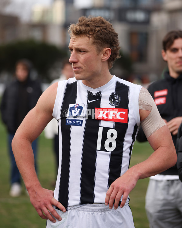 VFL 2025 Round 21 - Port Melbourne v Collingwood - A-61450052