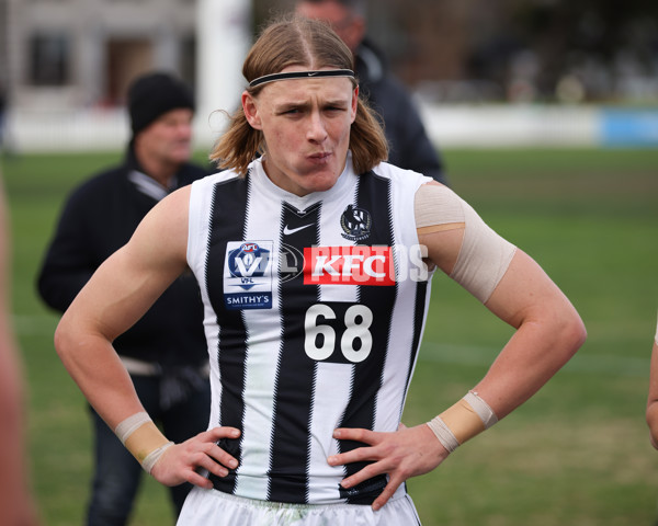 VFL 2025 Round 21 - Port Melbourne v Collingwood - A-61450056