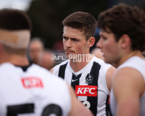 VFL 2025 Round 21 - Port Melbourne v Collingwood - A-61450058