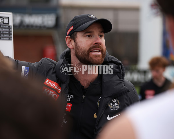 VFL 2025 Round 21 - Port Melbourne v Collingwood - A-61450060